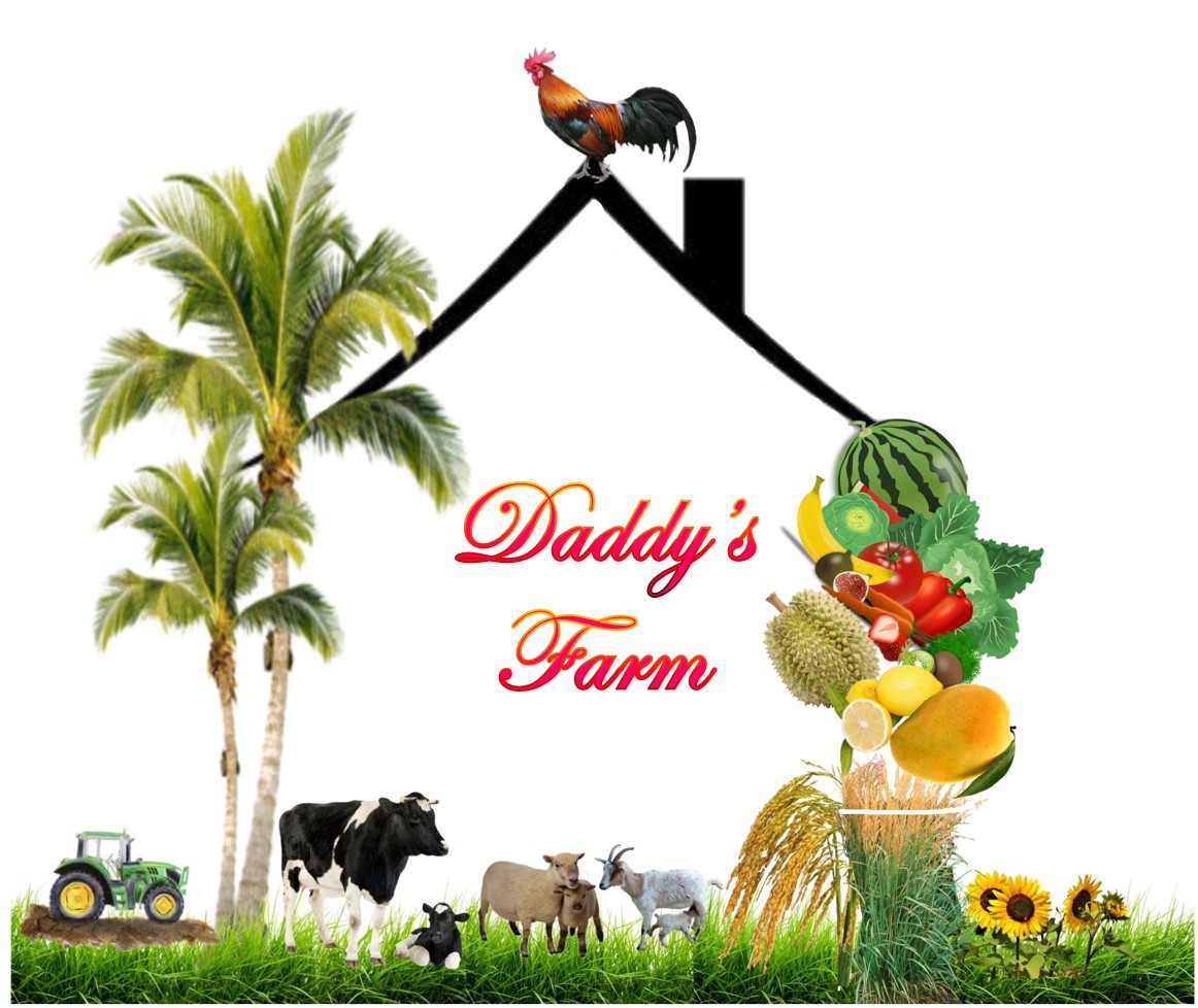 Daddy's Farm